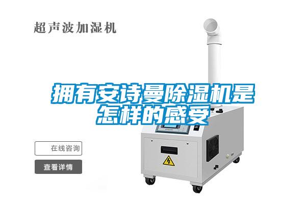 擁有麻豆AV免费网站在线观看麻豆视频免费看是怎樣的感受