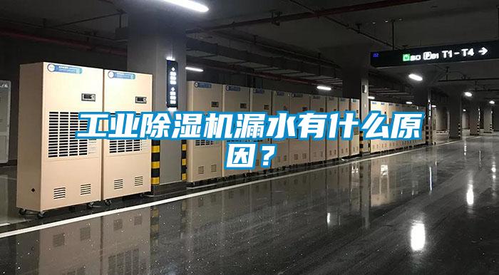 工業麻豆视频免费看漏水有什麽原因？