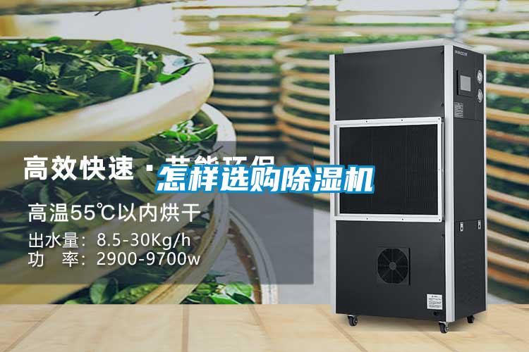 怎樣選購麻豆视频免费看