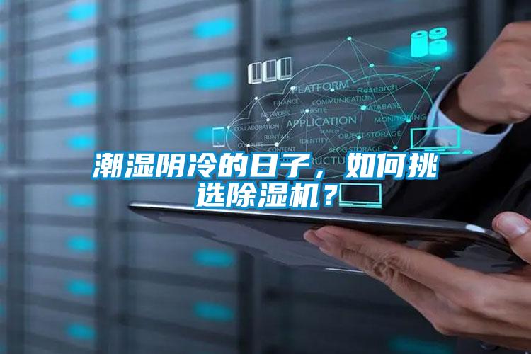 潮濕陰冷的日子，如何挑選麻豆视频免费看？