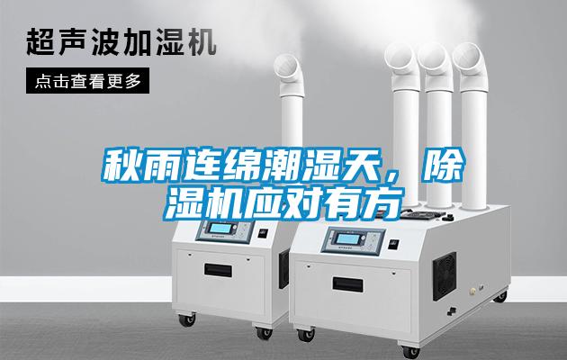 秋雨連綿潮濕天，麻豆视频免费看應對有方