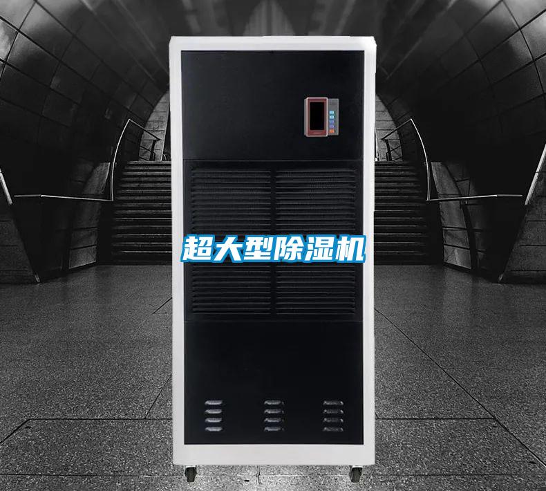 超大型麻豆视频免费看