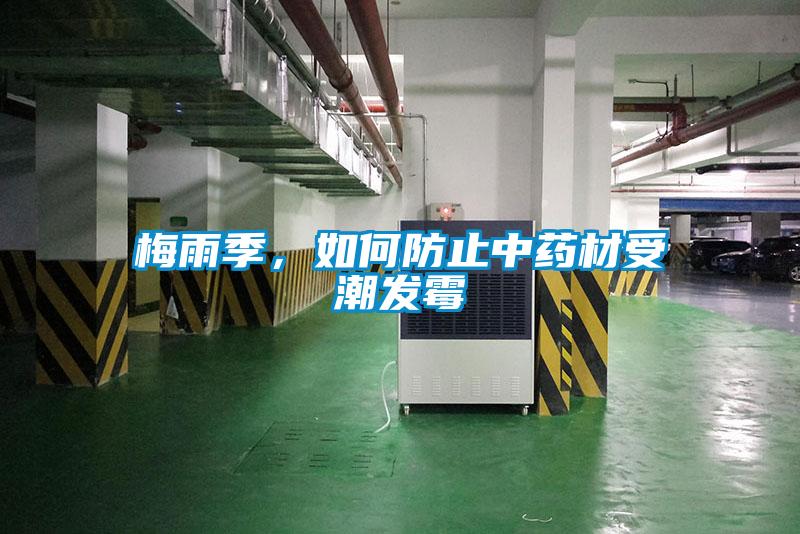 梅雨季，如何防止中藥材受潮發黴