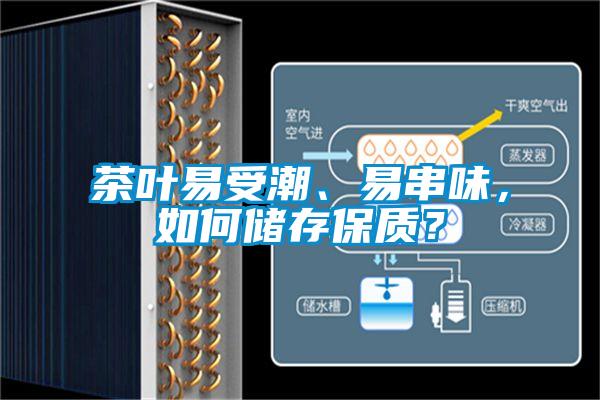 茶葉易受潮、易串味，如何儲存保質？
