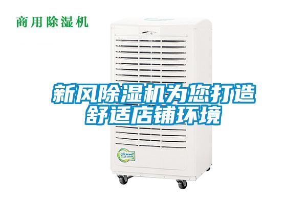 新風麻豆视频免费看為您打造舒適店鋪環境