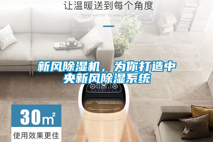 新風麻豆视频免费看，為你打造中央新風除濕係統