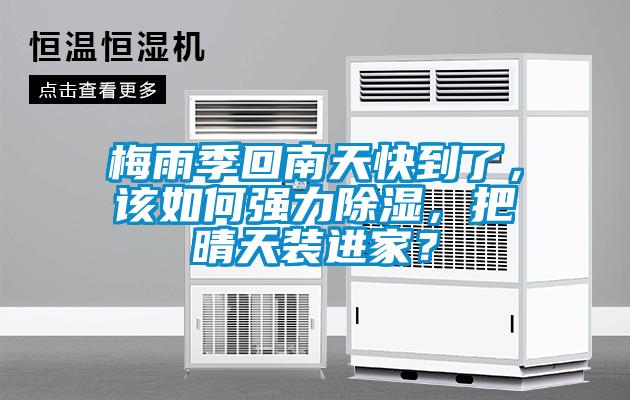 梅雨季回南天快到了，該如何強力除濕，把晴天裝進家？