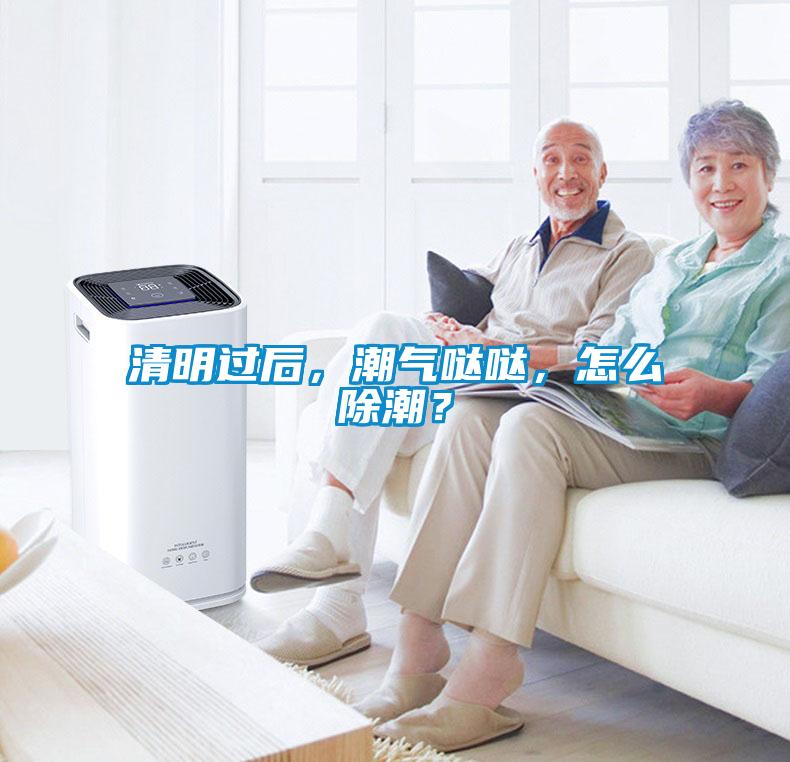 清明過後，潮氣噠噠，怎麽除潮？