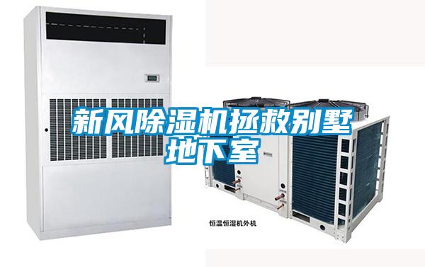 新風麻豆视频免费看拯救別墅地下室