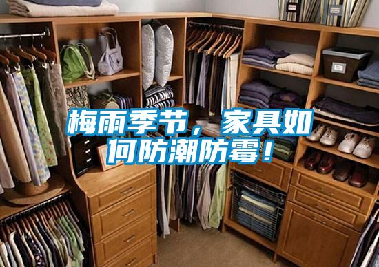 梅雨季節，家具如何防潮防黴！