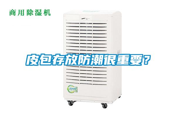 皮包存放防潮很重要？