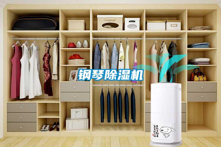 鋼琴麻豆视频免费看