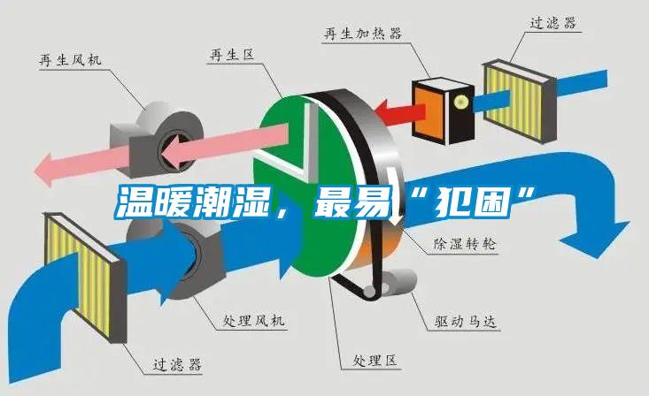 溫暖潮濕，最易“犯困”