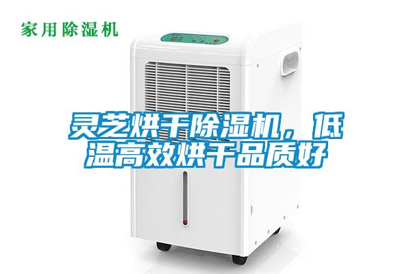靈芝烘幹麻豆视频免费看，低溫高效烘幹品質好