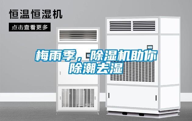 梅雨季，麻豆视频免费看助你除潮去濕