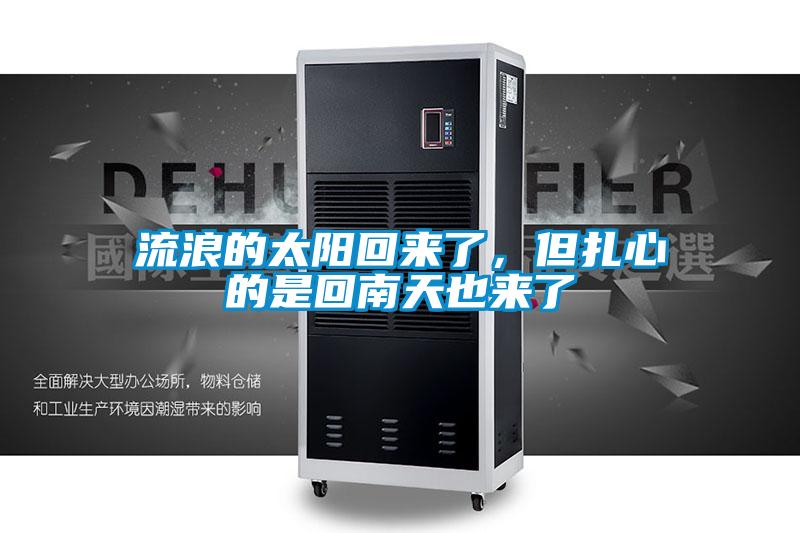 流浪的太陽回來了，但紮心的是回南天也來了