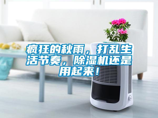 瘋狂的秋雨，打亂生活節奏，麻豆视频免费看還是用起來！