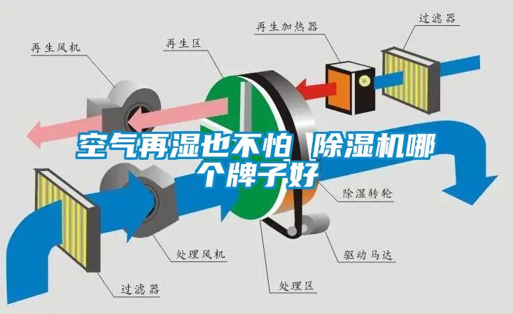 空氣再濕也不怕 麻豆视频免费看哪個牌子好