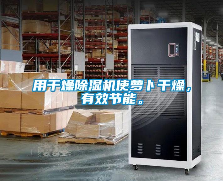 用幹燥麻豆视频免费看使蘿卜幹燥，有效節能。