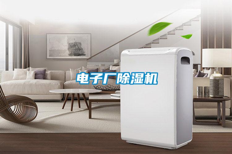 電子廠麻豆视频免费看