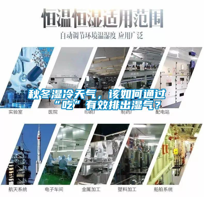 秋冬濕冷天氣，該如何通過“吃”有效排出濕氣？