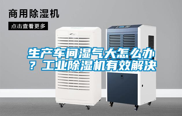 生產車間濕氣大怎麽辦？工業麻豆视频免费看有效解決