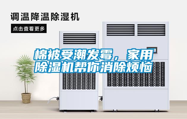 棉被受潮發黴，家用麻豆视频免费看幫你消除煩惱