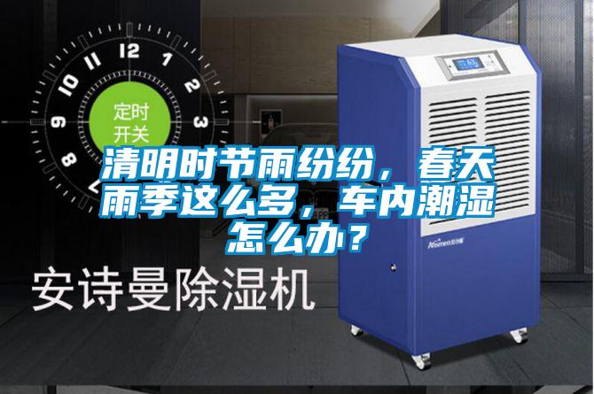 清明時節雨紛紛，春天雨季這麽多，車內潮濕怎麽辦？