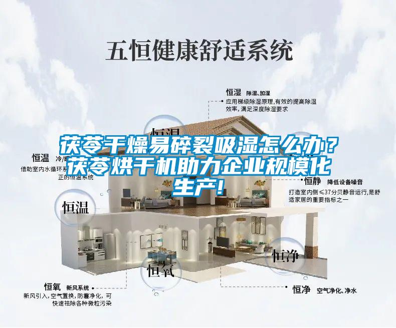 茯苓幹燥易碎裂吸濕怎麽辦？茯苓烘幹機助力企業規模化生產!