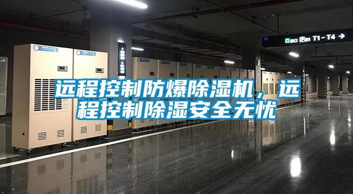 遠程控製防爆麻豆视频免费看，遠程控製除濕安全無憂