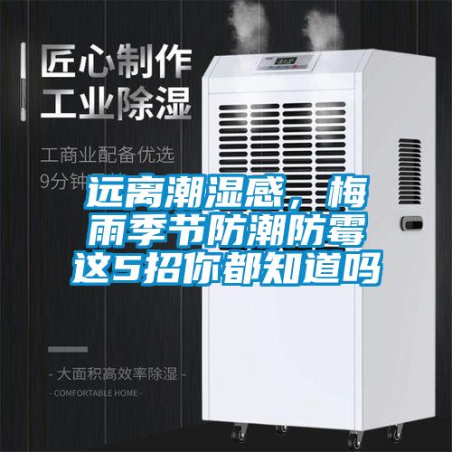 遠離潮濕感，梅雨季節防潮防黴這5招你都知道嗎