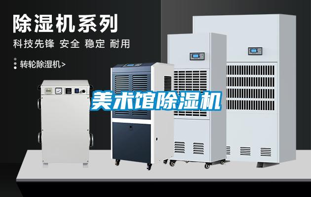 美術館麻豆视频免费看
