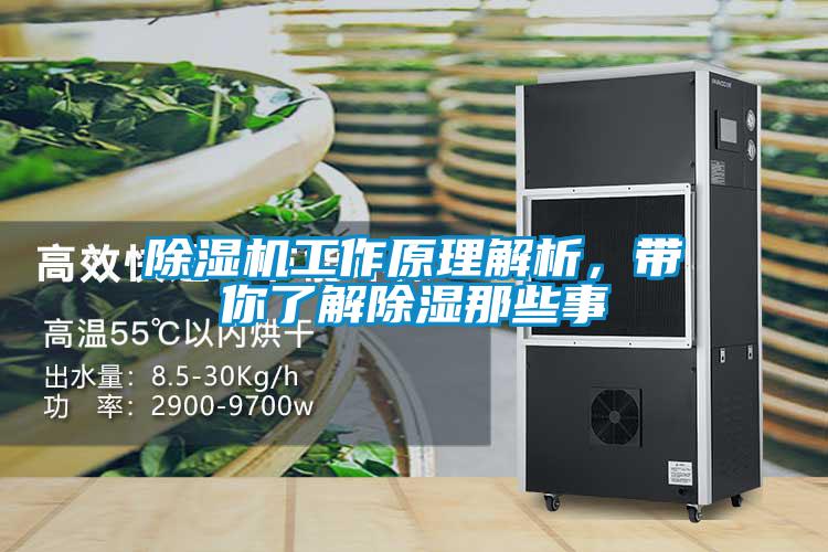 麻豆视频免费看工作原理解析，帶你了解除濕那些事