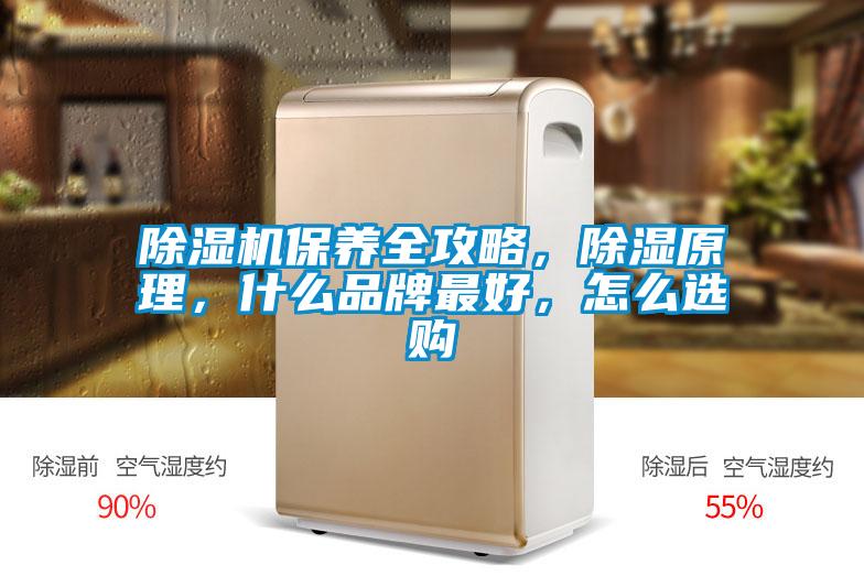 麻豆视频免费看保養全攻略，除濕原理，什麽品牌最好，怎麽選購
