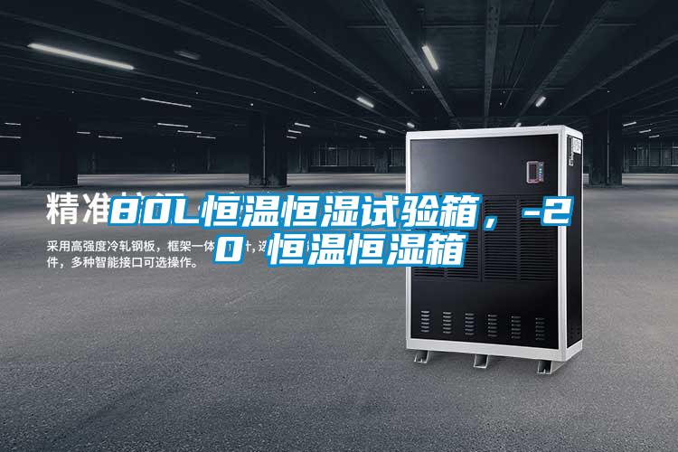 80L恒溫恒濕試驗箱，-20℃恒溫恒濕箱