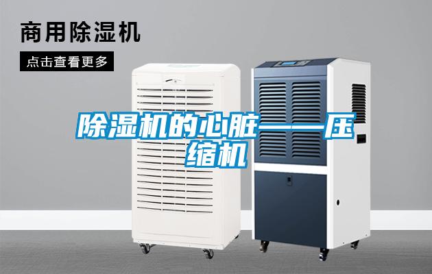 麻豆视频免费看的心髒——壓縮機