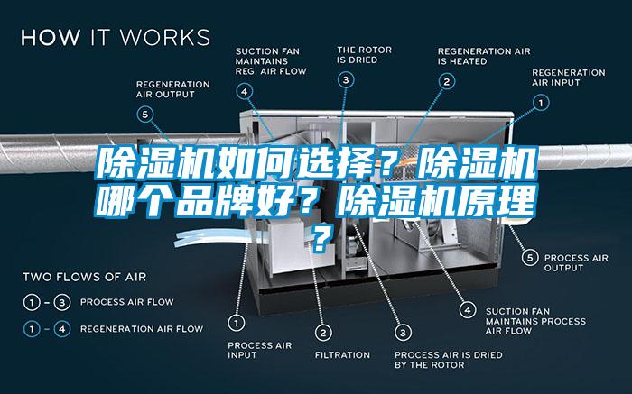 麻豆视频免费看如何選擇?麻豆视频免费看哪個品牌好?麻豆视频免费看原理?