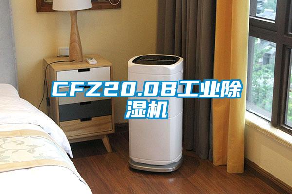 CFZ20.0B工業麻豆视频免费看