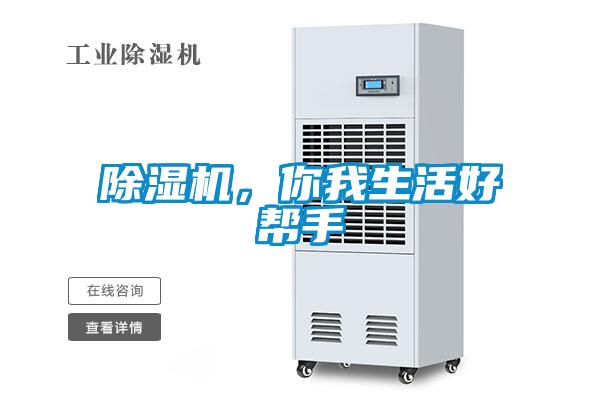 麻豆视频免费看，你我生活好幫手