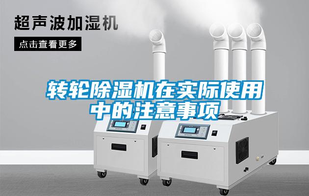 轉輪麻豆视频免费看在實際使用中的注意事項