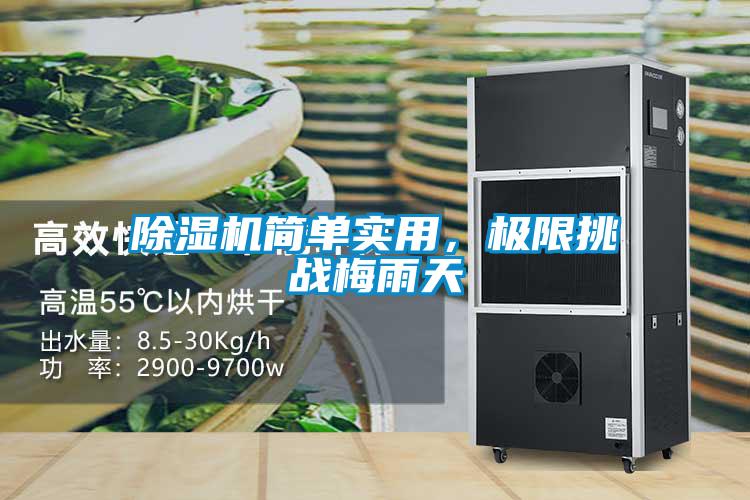 麻豆视频免费看簡單實用，極限挑戰梅雨天