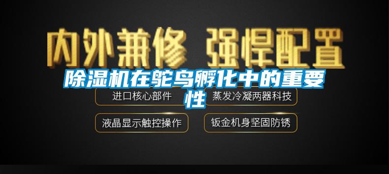 麻豆视频免费看在鴕鳥孵化中的重要性