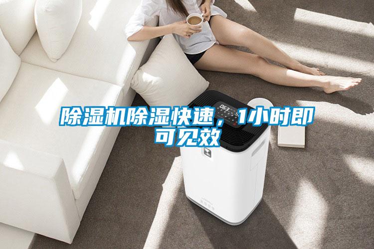 麻豆视频免费看除濕快速，1小時即可見效