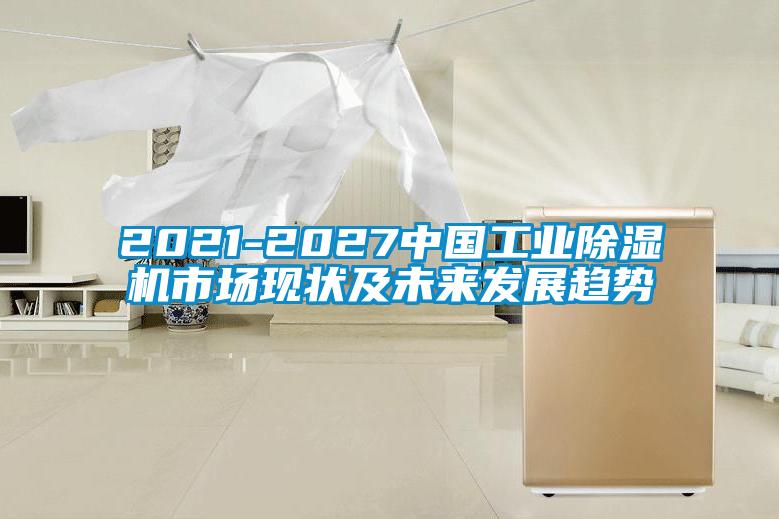 2021-2027中國工業麻豆视频免费看市場現狀及未來發展趨勢