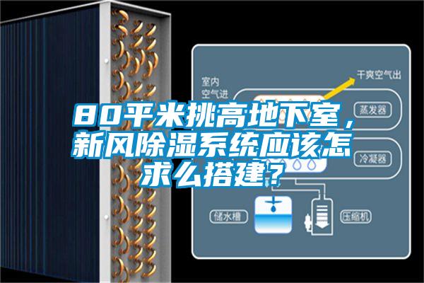 80平米挑高地下室，新風除濕係統應該怎求麽搭建？