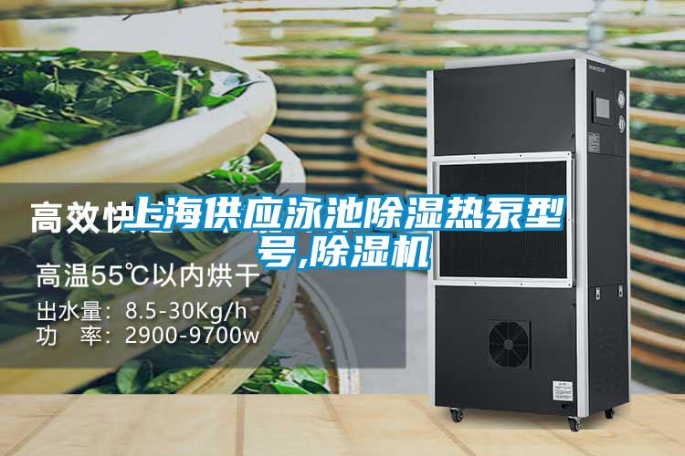 上海供應泳池除濕熱泵型號,麻豆视频免费看