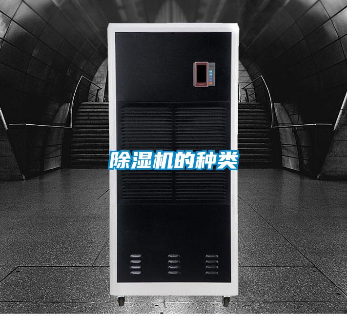 麻豆视频免费看的種類