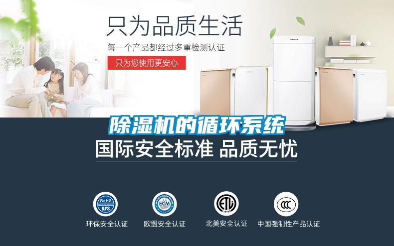 麻豆视频免费看的循環係統