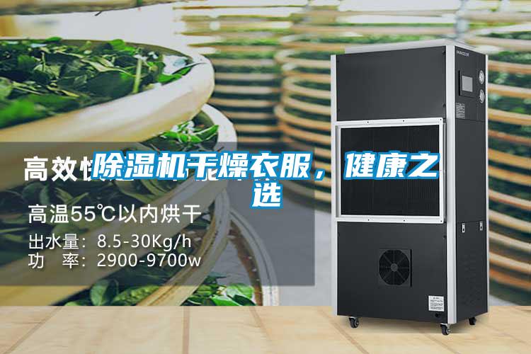 麻豆视频免费看幹燥衣服，健康之選