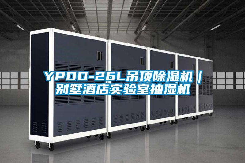 YPDD-26L吊頂麻豆视频免费看｜別墅酒店實驗室抽濕機